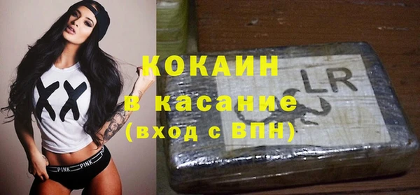сатива Баксан