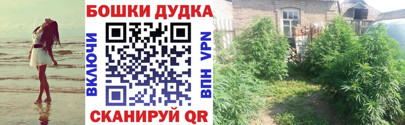 mega ONION  Семёнов  Бошки марихуана тримм 